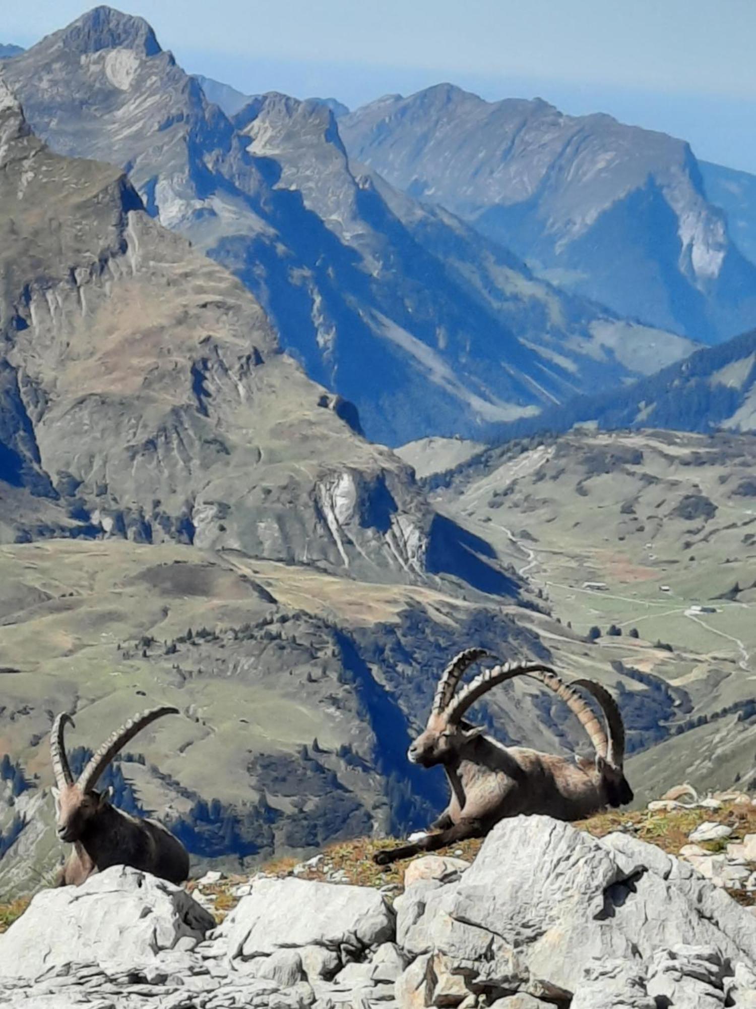 Haus Schroefler Lägenhet Lech am Arlberg Exteriör bild